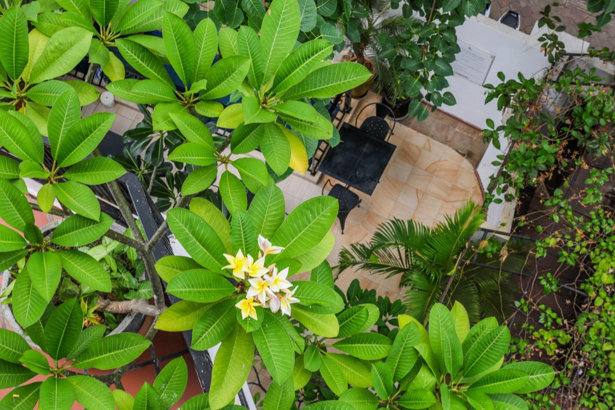 La Rose Suites Phnom-Penh Buitenkant foto